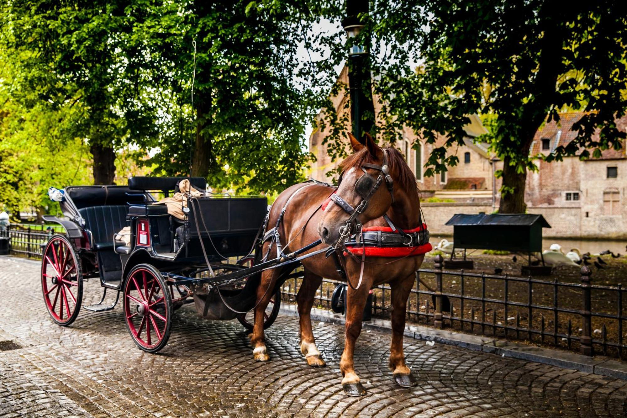 Grand Hotel Casselbergh Brugge Kültér fotó